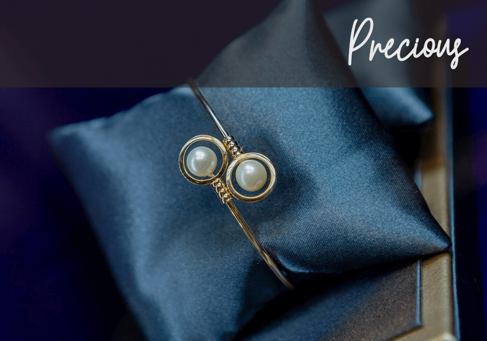 Soft de gestiune ERP pentru Bijuteriile Precious