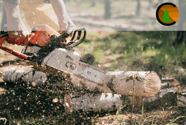 Soft de gestiune ERP pentru Confortec