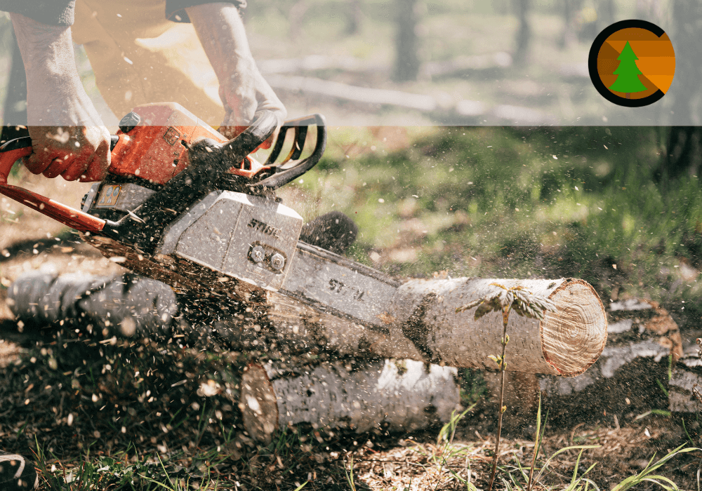 Soft de gestiune ERP pentru Confortec