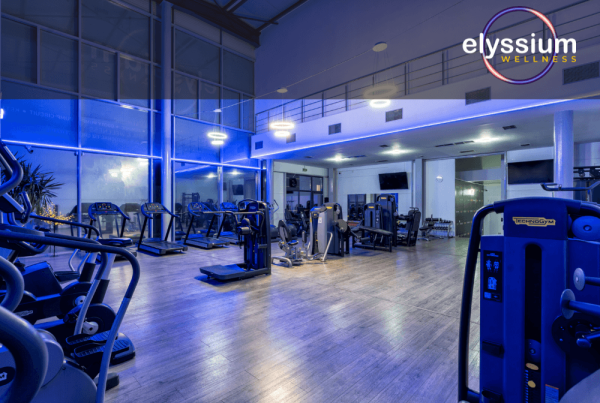 Soft de gestiune ERP pentru Elyssium Gym
