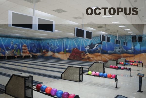 Soft de gestiune ERP pentru Octopus Bowling Café