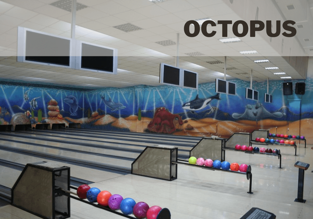 Soft de gestiune ERP pentru Octopus Bowling Café