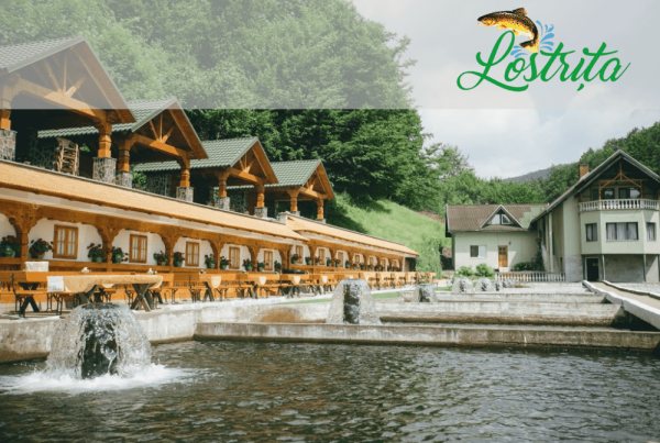 Soft de gestiune ERP pentru Pastravaria Lostrita