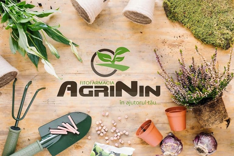 Studiu de caz AgriNin - Fito-farmacie