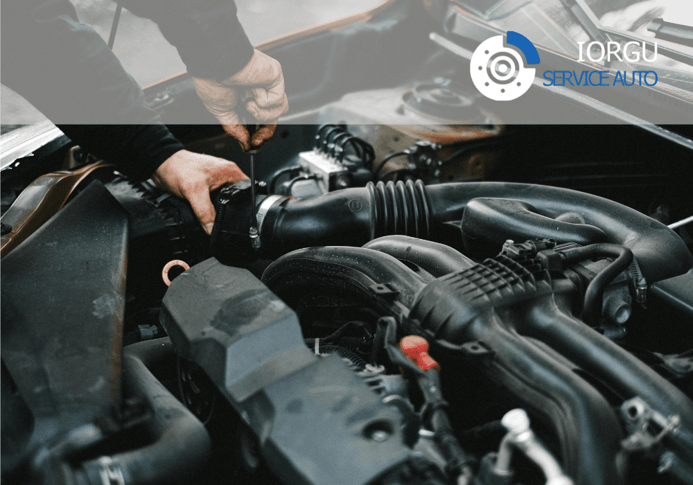 Soft de gestiune ERP pentru Iorgu Service