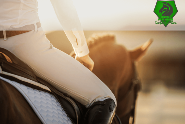 Soft de gestiune ERP pentru Centrul de echitatie Curtuiusu Mare