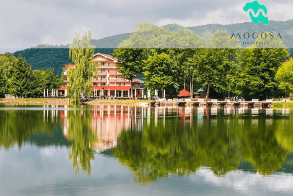 Soft de gestiune ERP pentru Domeniul Mogosa