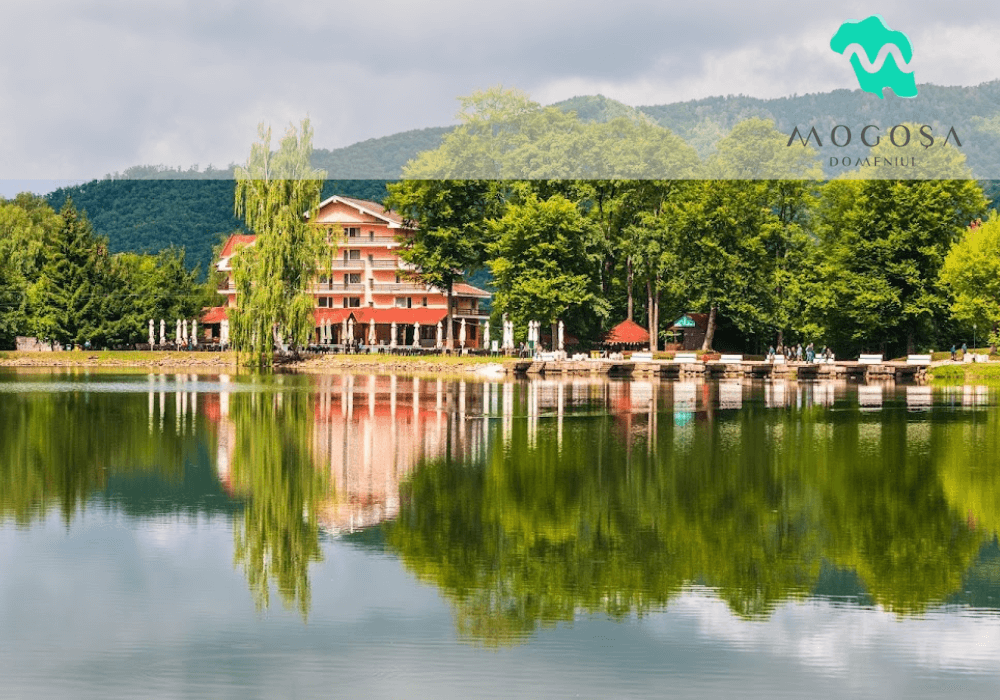 Soft de gestiune ERP pentru Domeniul Mogosa