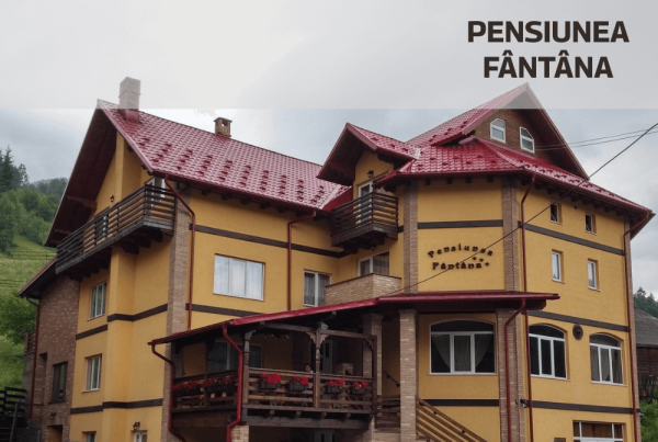 Soft de gestiune ERP pentru Pensiunea Fantana