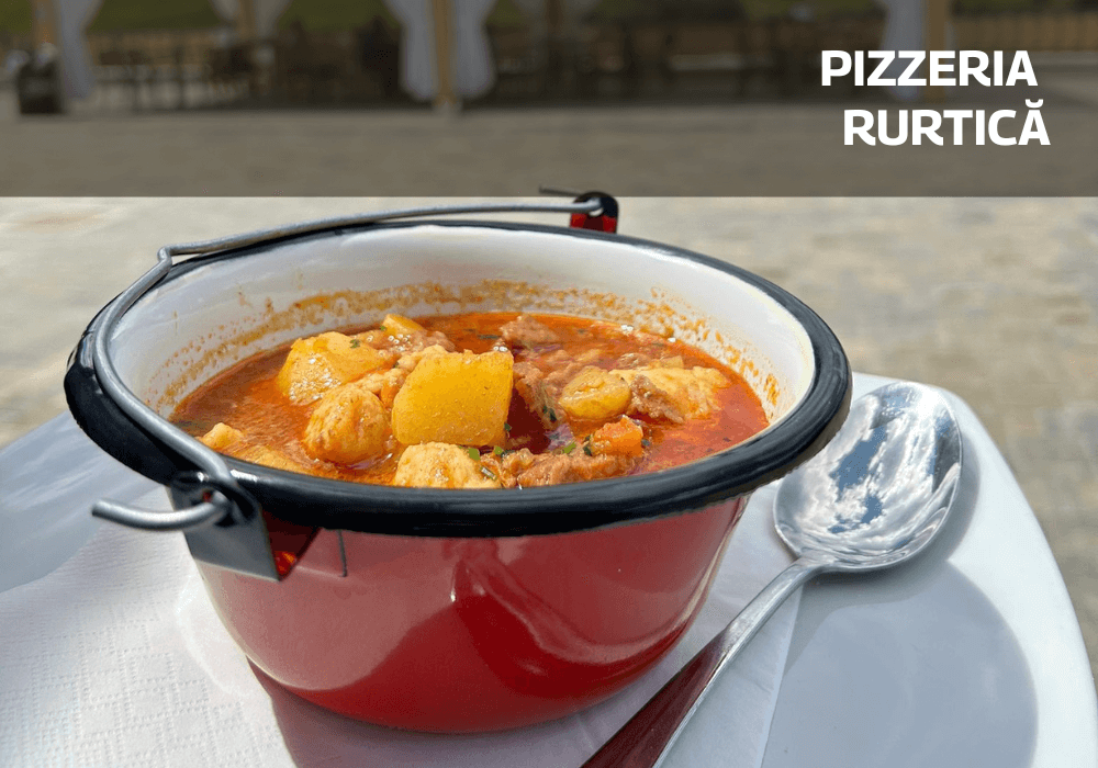 Soft de gestiune ERP pentru Pizzeria Rustica