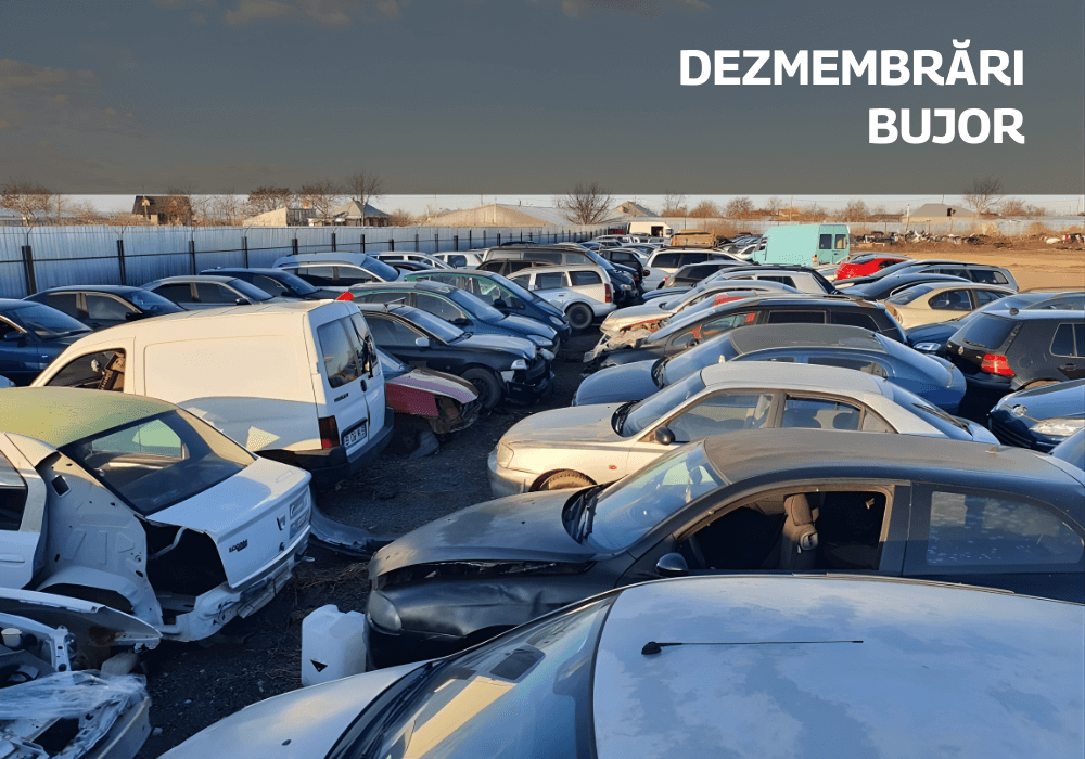 Soft de gestiune ERP pentru Dezmembrări Bujor