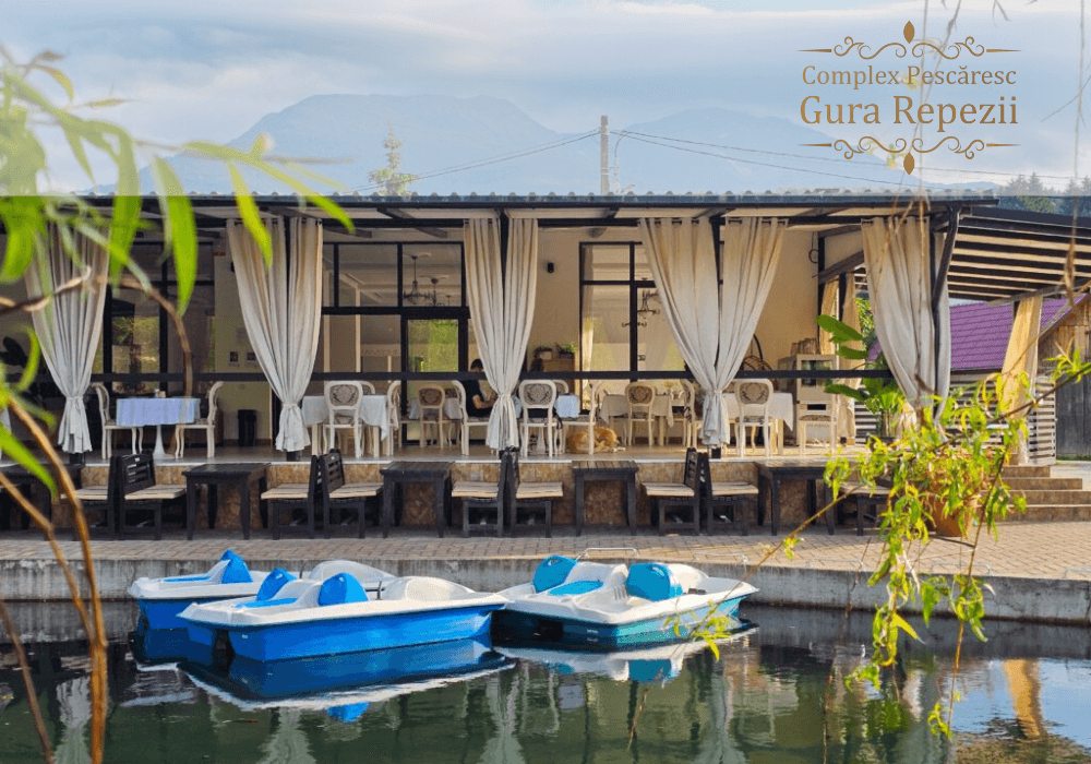 Soft de gestiune ERP pentru Părtrăvăria Gura Repezii