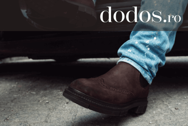 Soft de gestiune ERP pentru Dodos