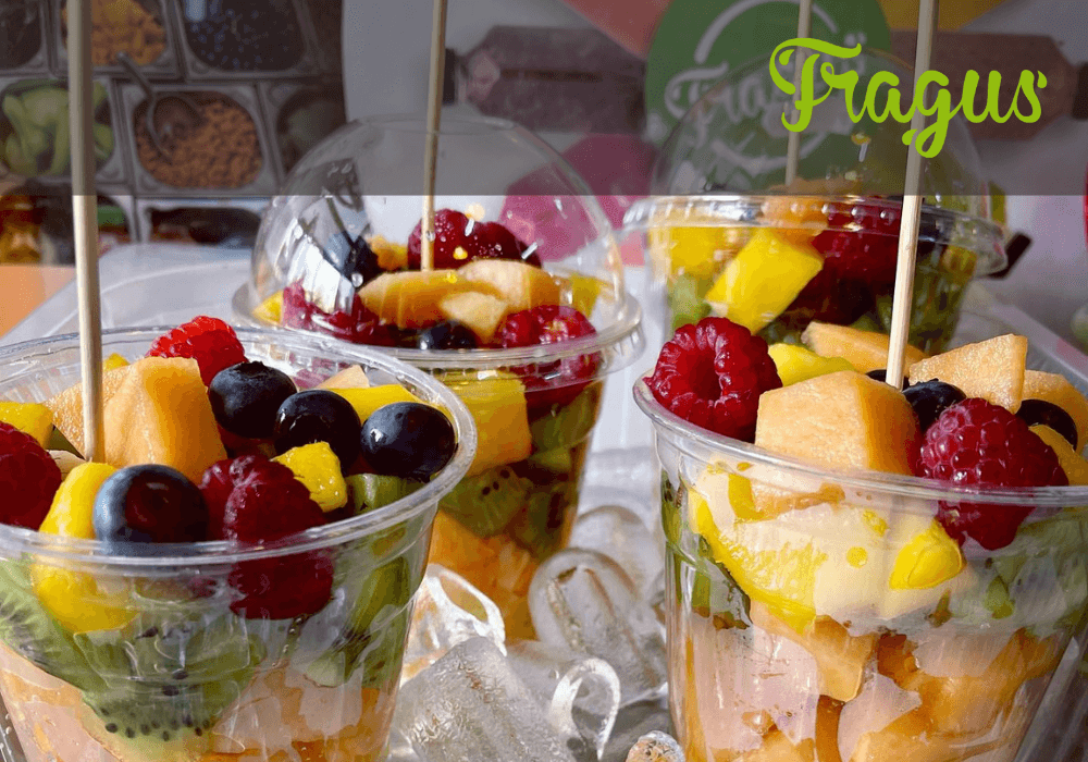 Soft de gestiune ERP pentru Fragus