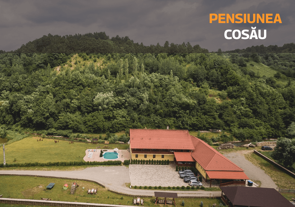 Soft de gestiune ERP pentru Pensiunea Cosău