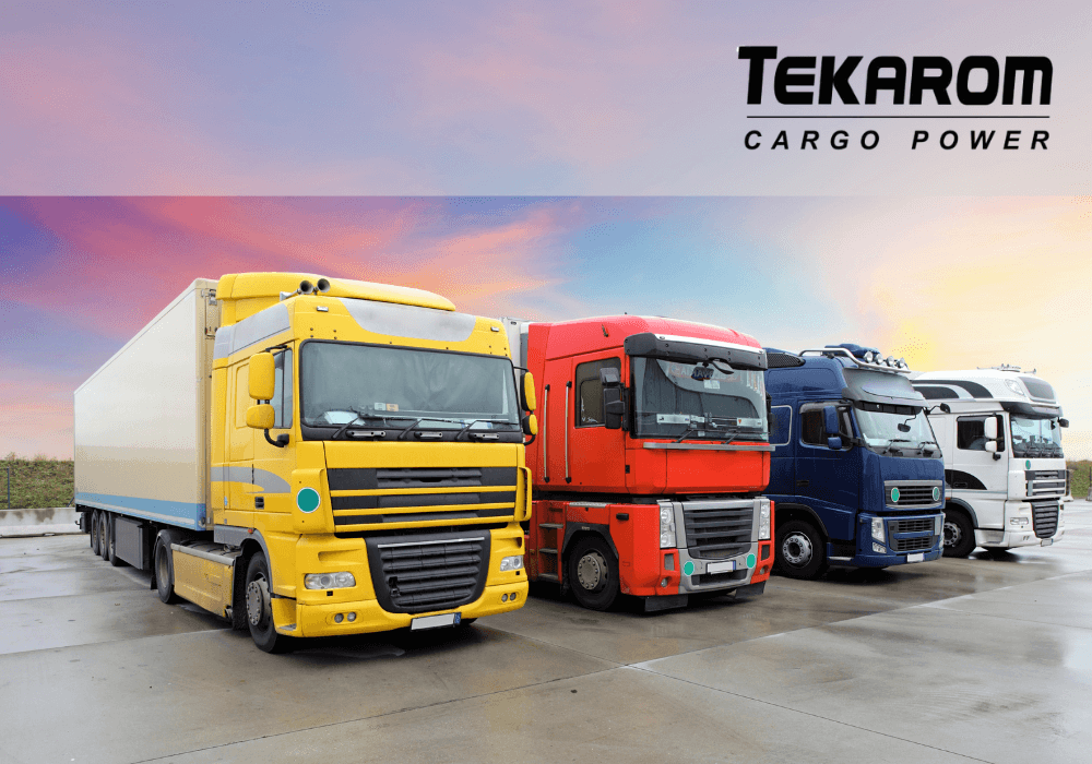 Soft de gestiune ERP pentru Tekarom