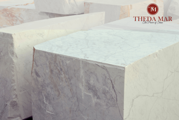 Soluție software ERP pentru Theda Mar