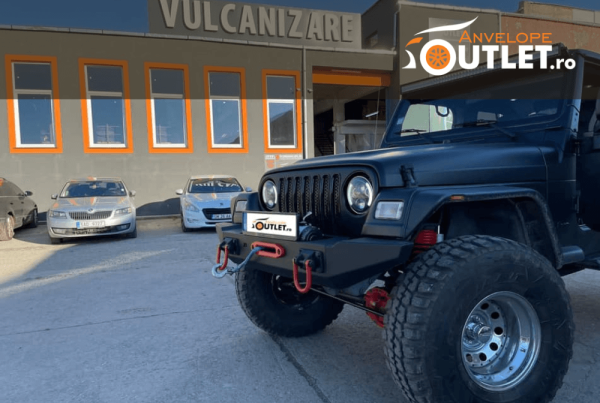 Soft de gestiune ERP pentru Anvelope Otulet