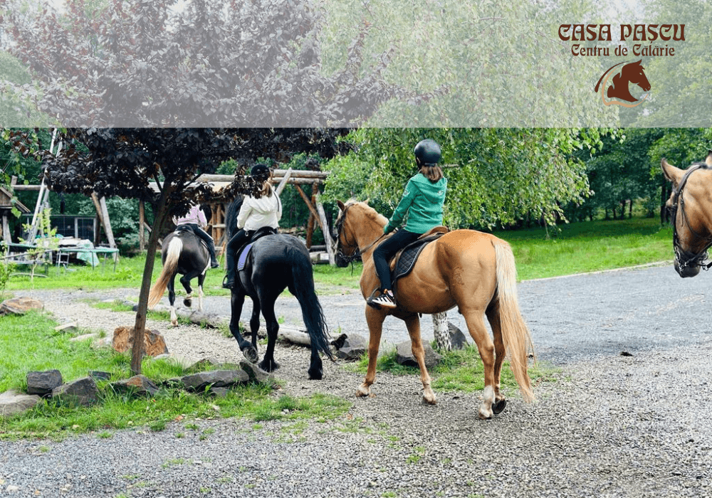 Soft de gestiune ERP pentru Centrul de Calarie Casa Pascu