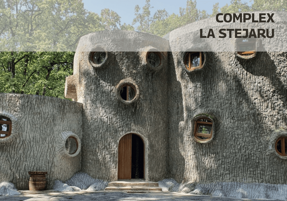 Soft de gestiune ERP pentru Complex La Stejaru