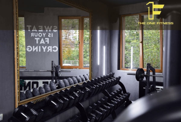 Soft de gestiune ERP pentru The1Fitnes