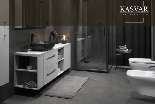 Soft de gestiune ERP pentru Kasvar Distribution