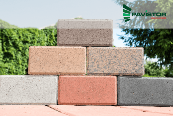 Soft de gestiune ERP pentru Pavistor