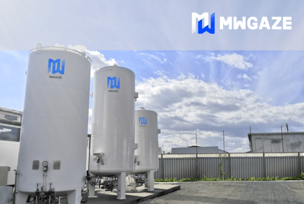 Soft de gestiune ERP pentru MWGaze