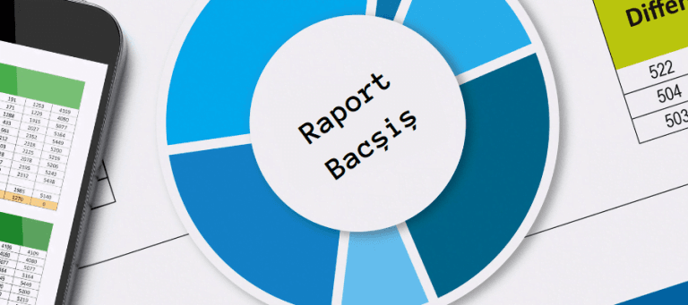 Raport bacsis actualizari