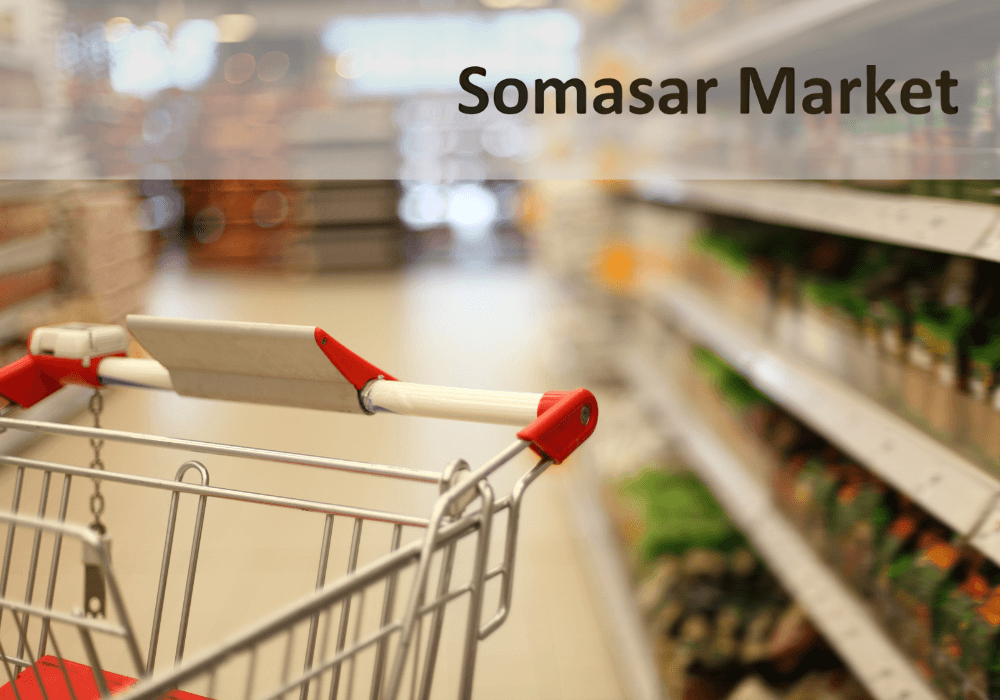 Soft de gestiune ERP pentru Somasar Market