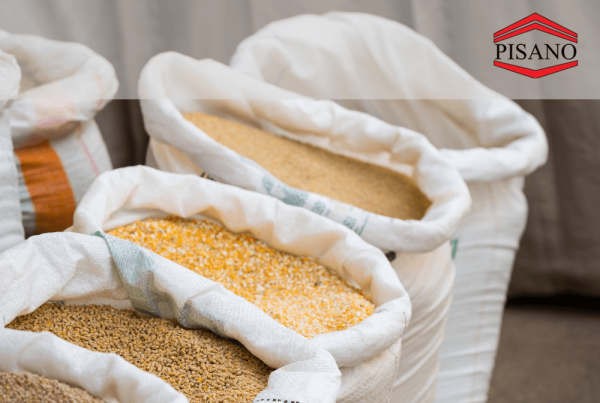 Soluție software ERP pentru rețeaua Pisano Grup