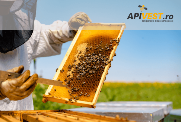 Soft de gestiune ERP pentru magazin apicol Apivest