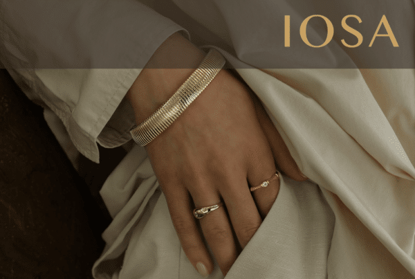 Soft de gestiune ERP pentru Bijuteria Iosa