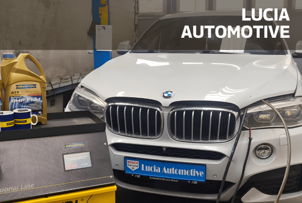 Soft de gestiune ERP pentru Lucia Automotive