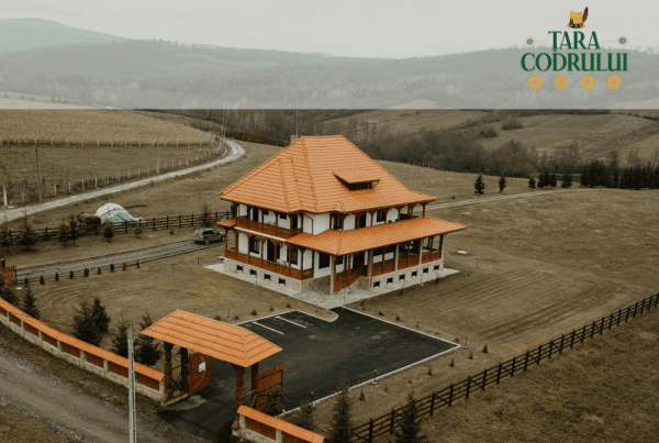 Soft de gestiune ERP pentru Pensiunea Tara Codrului