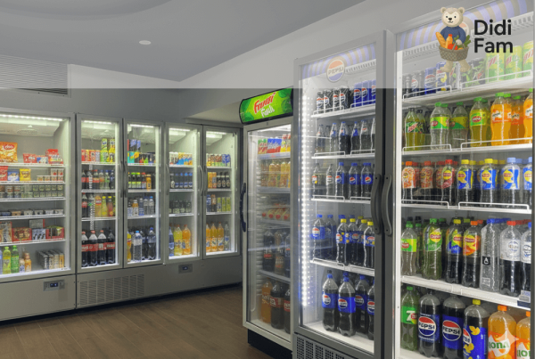 Soft de gestiune ERP pentru Didi Fam