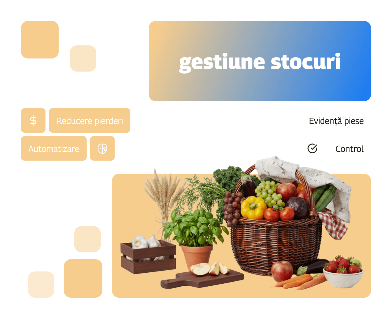Stocuri de fructe și legume organizate într-un magazin cu sistem de gestiune